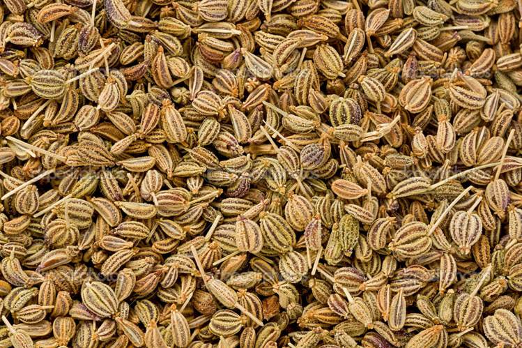 Ajwain अजवाइन दिलाये राहत सर्दी और जुकाम से